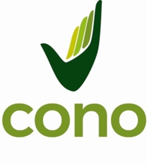 cono Logo (IGE, 08/06/2020)