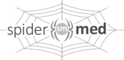 spider sm med Logo (IGE, 01/31/2019)