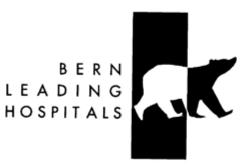 BERN LEADING HOSPITALS Logo (IGE, 03/15/2001)
