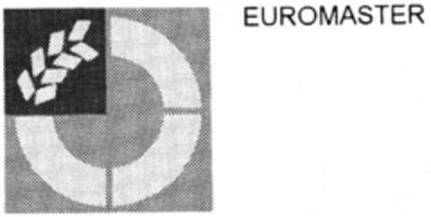 EUROMASTER Logo (IGE, 30.03.1995)