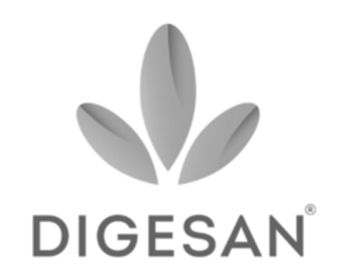 DIGESAN Logo (IGE, 10/08/2020)