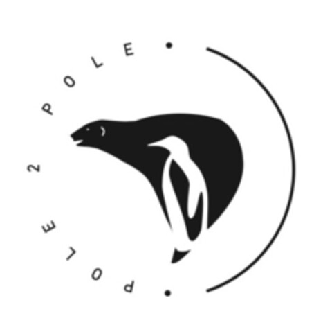 POLE 2 POLE Logo (IGE, 19.01.2017)