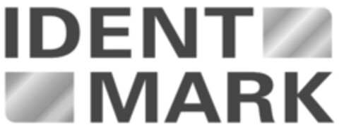 IDENT MARK Logo (IGE, 31.05.2010)