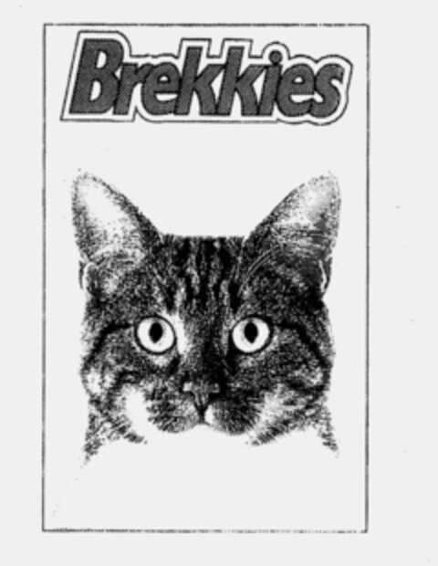 Brekkies Logo (IGE, 02/22/1994)