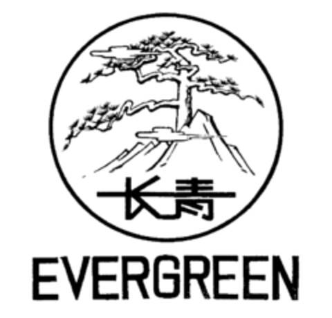 EVERGREEN Logo (IGE, 03/27/1981)