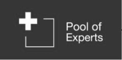 Pool of Experts Logo (IGE, 10.12.2010)