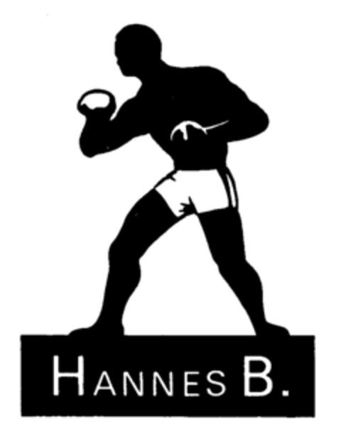 HANNES B. Logo (IGE, 01.09.1982)