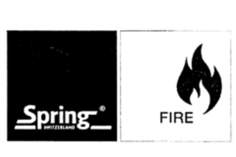 Spring SWITZERLAND FIRE Logo (IGE, 26.08.2002)