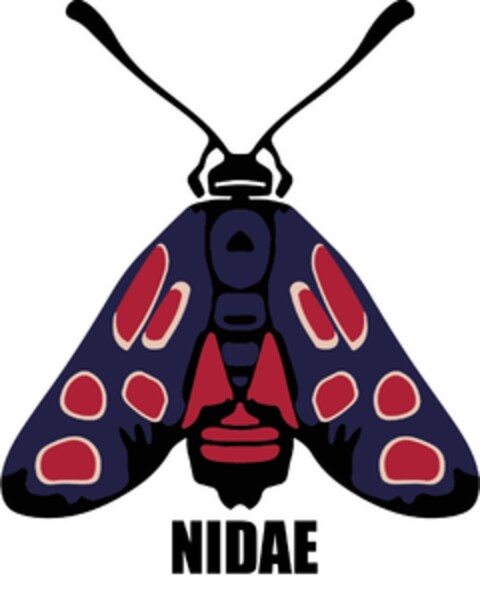 NIDAE Logo (IGE, 06.07.2020)