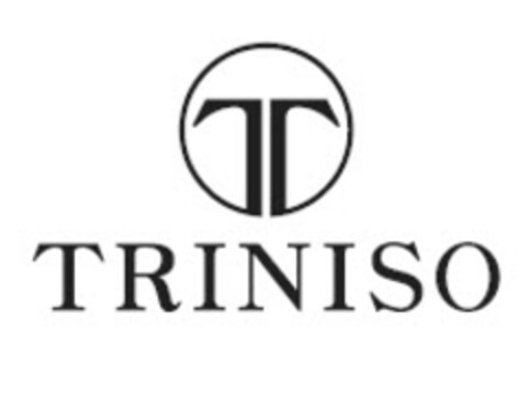 TRINISO Logo (IGE, 15.03.2016)