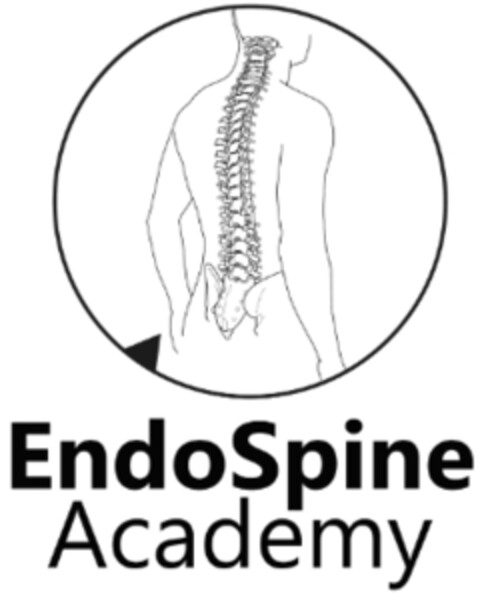 EndoSpine Academy Logo (IGE, 05.03.2024)