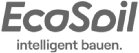 EcoSoil intelligent bauen. Logo (IGE, 09/20/2021)