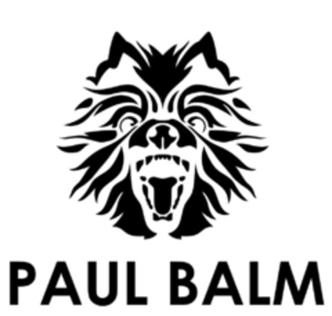 PAUL BALM Logo (IGE, 11/05/2021)