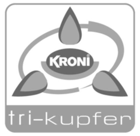 KRONI tri-kupfer Logo (IGE, 16.01.2012)