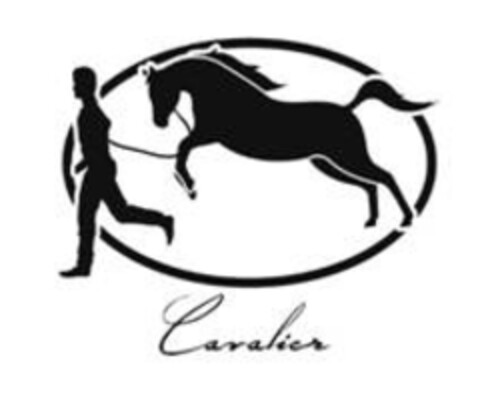 Cavalier Logo (IGE, 21.05.2015)