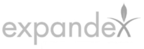 expandex Logo (IGE, 22.09.2008)