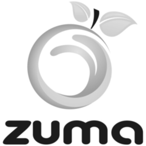 O zuma Logo (IGE, 20.12.2013)