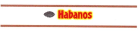 Habanos Logo (IGE, 03.12.2004)