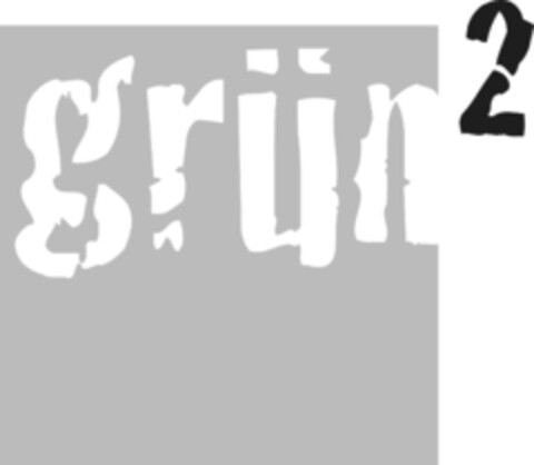 grün2 Logo (IGE, 12.03.2009)
