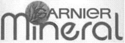 GARNIER Mineral Logo (IGE, 08.09.2008)