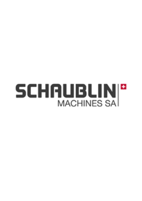 SCHAUBLIN MACHINES SA Logo (IGE, 01/31/2019)
