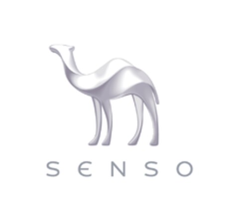 SENSO Logo (IGE, 07/17/2023)