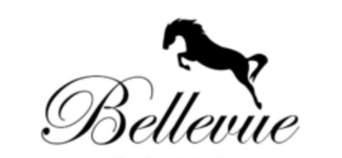 Bellevue Logo (IGE, 11/02/2016)