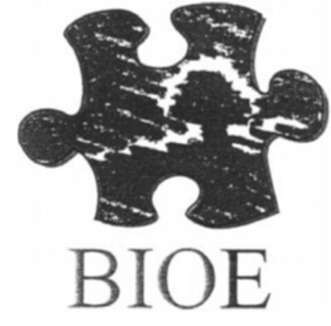 BIOE Logo (IGE, 30.09.2011)