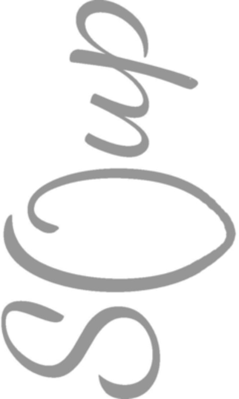 SOup Logo (IGE, 03.10.2014)