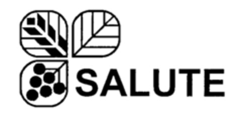 SALUTE Logo (IGE, 27.01.2006)