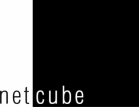 net cube Logo (IGE, 19.07.2007)