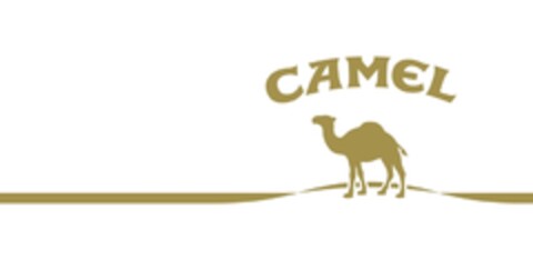 CAMEL Logo (IGE, 07.08.2008)
