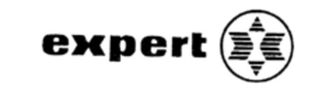 expert Logo (IGE, 08.01.1988)
