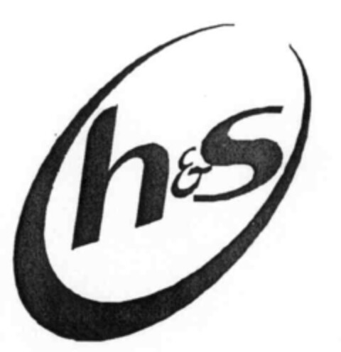 h&s Logo (IGE, 13.03.2000)