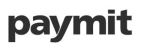 paymit Logo (IGE, 08.01.2016)