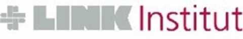 LINK Institut Logo (IGE, 19.01.2007)