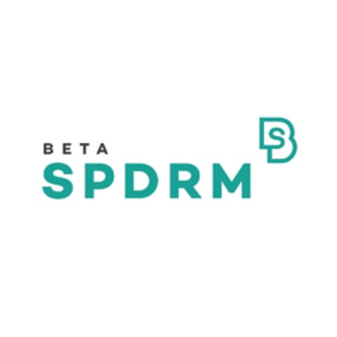 BETA SPDRM BS Logo (IGE, 02/27/2019)
