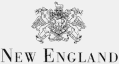NEW ENGLAND Logo (IGE, 29.03.1995)