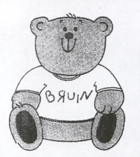 BRUIN Logo (IGE, 17.07.2003)