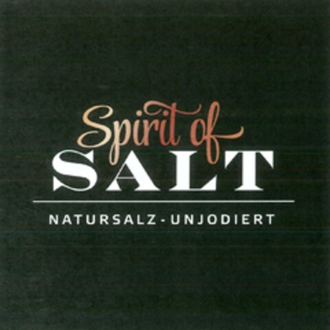 Spirit of SALT NATURSALZ UNJODIERT Logo (IGE, 17.07.2015)