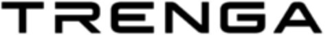 TRENGA Logo (IGE, 20.03.2024)