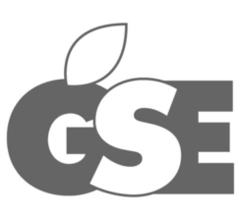 GSE Logo (IGE, 20.08.2021)