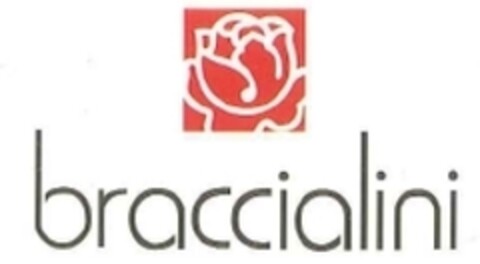 braccialini Logo (IGE, 06.04.2009)