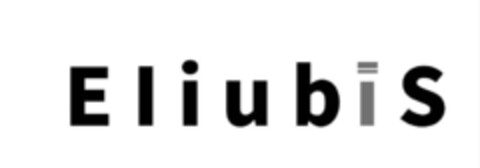 EliubiS Logo (IGE, 19.01.2020)