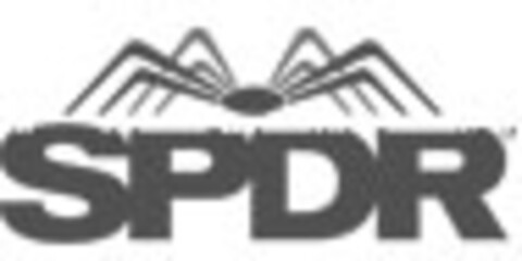 SPDR Logo (IGE, 26.05.2011)