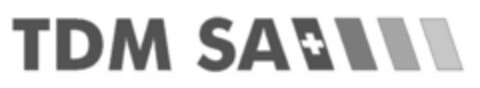 TDM SA Logo (IGE, 10.05.2019)
