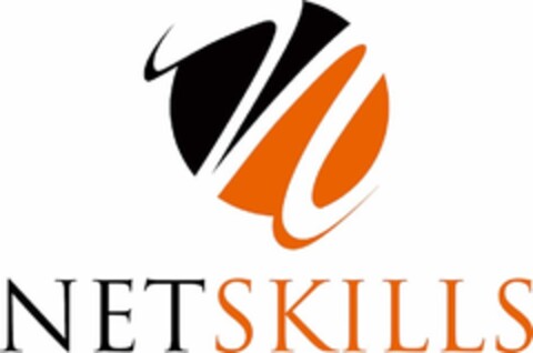 NETSKILLS Logo (IGE, 04/26/2017)