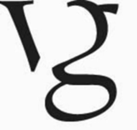 vg Logo (IGE, 06/18/2010)