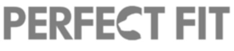 PERFECT FIT Logo (IGE, 06.09.2016)