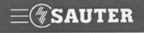 SAUTER Logo (IGE, 13.07.2004)